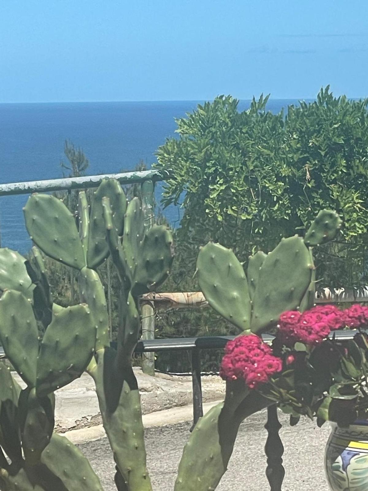 Casa Sundaville Peschici Exteriör bild